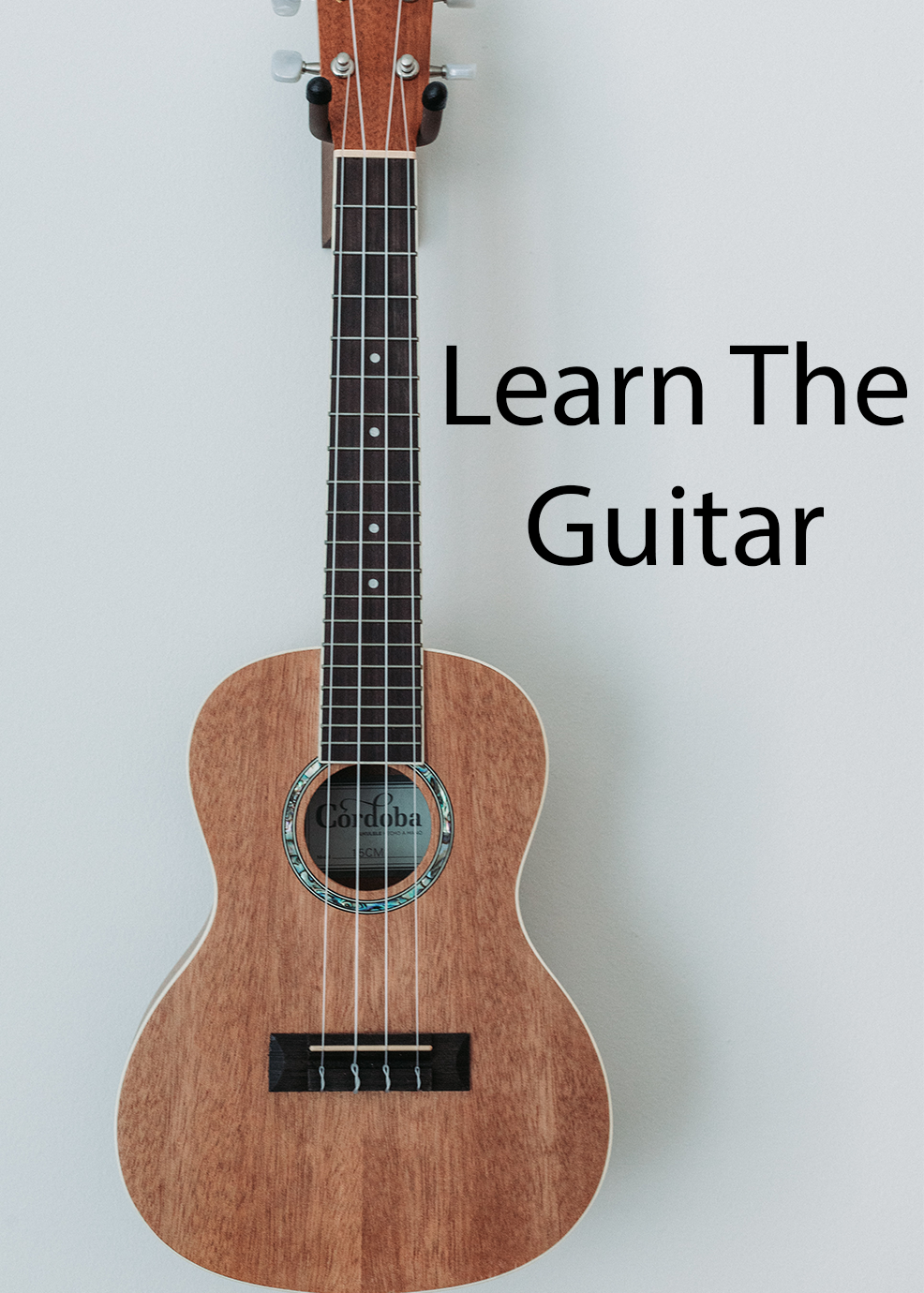 Learn The Guitar